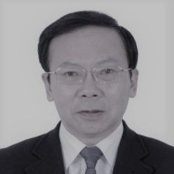Zhao Qing